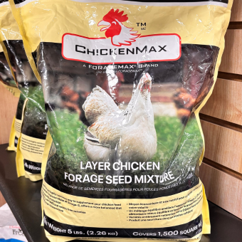 Forage Seed Mix - Chickens